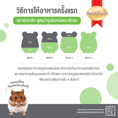 สมาร์ทฮาร์ท หนูแฮมสเตอร์ 300 กรัม 1