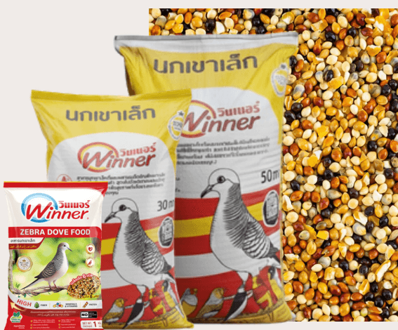 วินเนอร์ เขาเล็ก